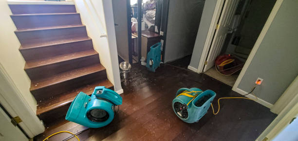 Best Basement water damage restoration  in Boiling Springs, PA
