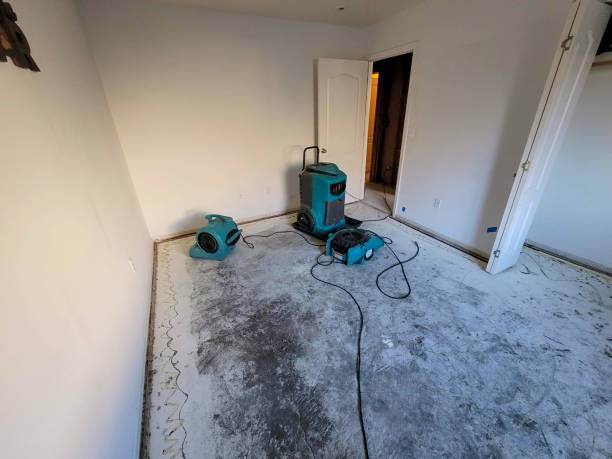 Best Water damage restoration near me  in Boiling Springs, PA