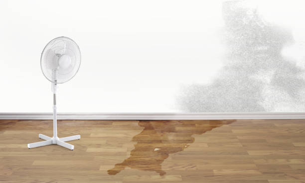 Best Flood damage cleanup  in Boiling Springs, PA
