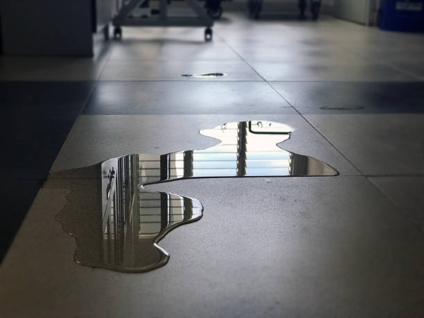 Best 24/7 water damage repair  in Boiling Springs, PA