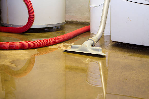 Best Flood restoration services  in Boiling Springs, PA