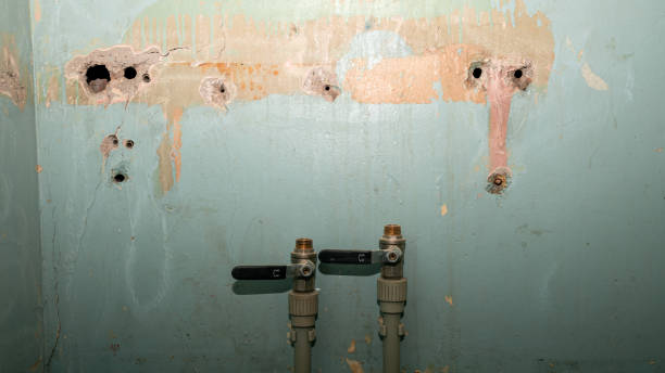 Best Fire Damage Restoration  in Boiling Springs, PA