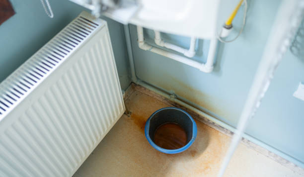 Best Flooded house restoration  in Boiling Springs, PA