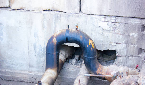 Best Professional water damage repair  in Boiling Springs, PA