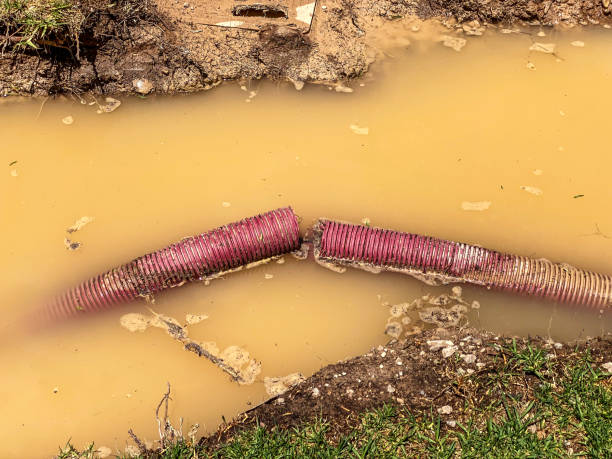 Best Residential water damage restoration  in Boiling Springs, PA