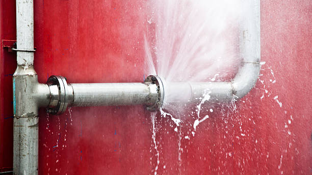 Best Ceiling water damage repair  in Boiling Springs, PA