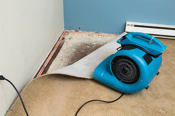 Best Water damage restoration near me  in Boiling Springs, PA